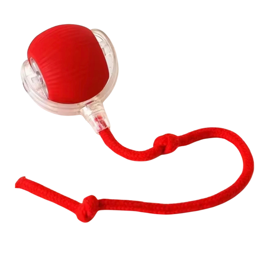 Interactive Ball Cat Toy